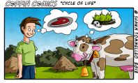 Cycle Of Life